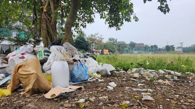 Cảnh hoang tàn tại dự án khách sạn, trung tâm thương mại 150 tỉ ở Hà Tĩnh - Ảnh 8