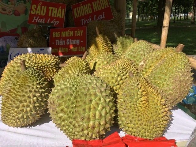 Nông nghiệp xuất siêu kỷ lục 12,07 tỉ USD, tăng trưởng cao nhất trong 10 năm qua - Ảnh 1