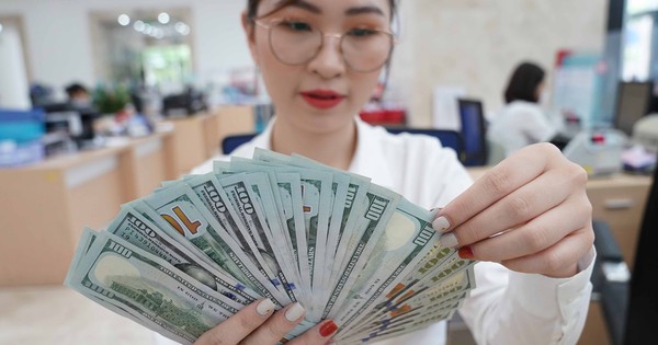 Giá USD hôm nay 29.12.2023: Ngân hàng giảm mạnh giá USD