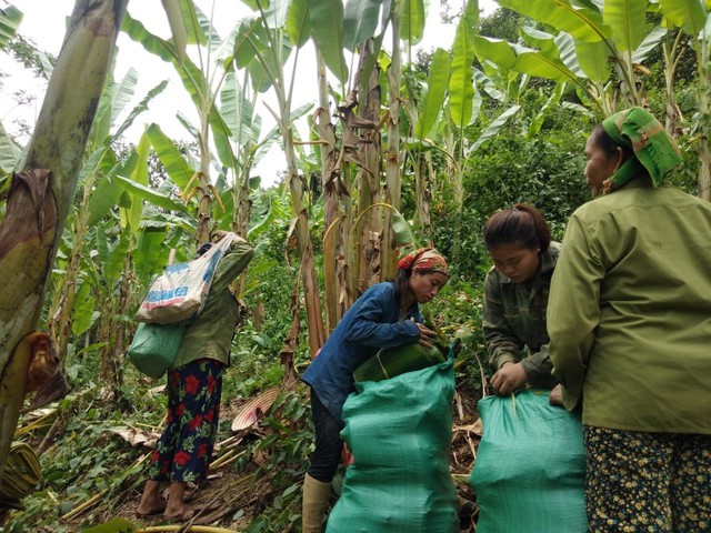 Khai mở tư tưởng để cùng xây dựng nông thôn mới - Ảnh 2