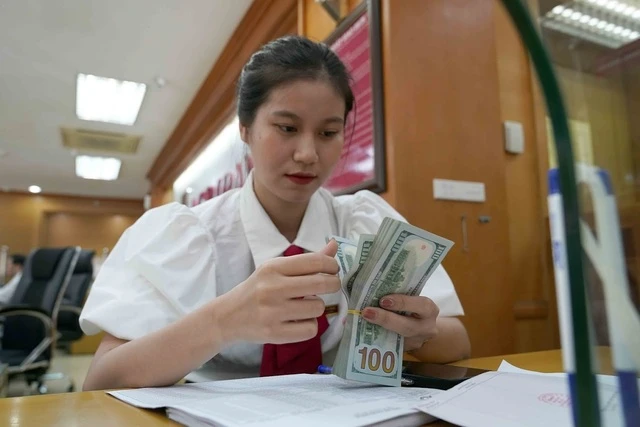 Giá USD hôm nay 31.12.2023: Tăng thấp hơn dự báo, duy trì ổn định - Ảnh 1