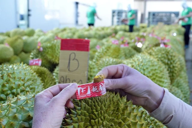 Cảnh giác với thông tin lừa đảo về giấy chứng nhận của Hải quan Trung Quốc - Ảnh 1