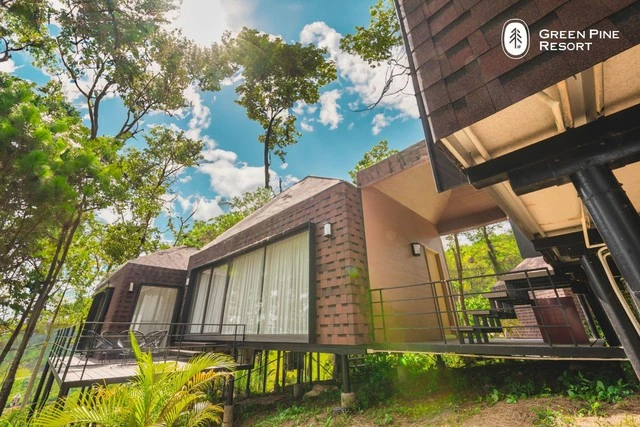 Trang An Golf & Resort - nghỉ dưỡng chữa lành giữa rừng thông trăm tuổi - Ảnh 4