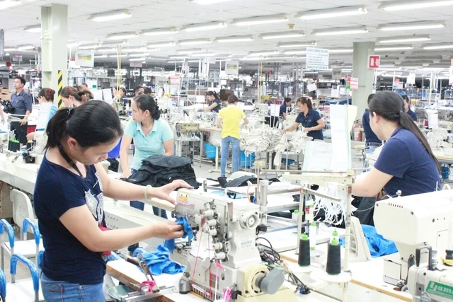 Một năm 'bội thu' vốn ngoại - Ảnh 1