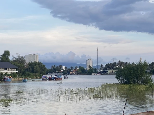 Vì sao Ngân hàng Thế giới hủy tài trợ dự án 10 triệu USD ở Khánh Hòa? - Ảnh 2