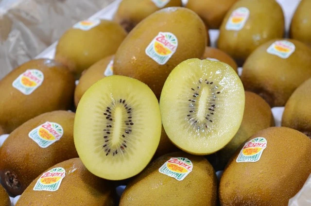 Kiwi Zespri được vinh danh Top 10 Thương hiệu nổi tiếng hàng đầu Việt Nam năm 2023 - Ảnh 2