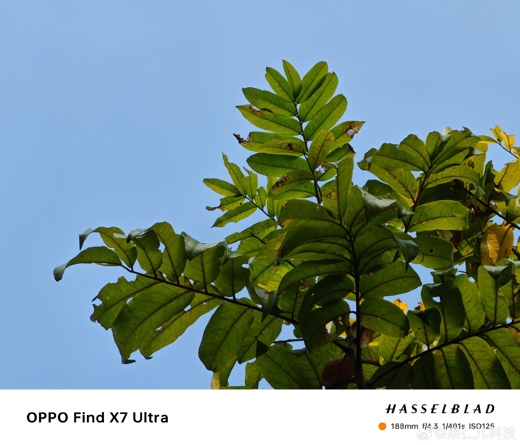 Không phải iPhone 15 Pro Max hay Galaxy S sắp ra mắt, đây mới là smartphone có phần cứng camera xịn nhất - Ảnh 14