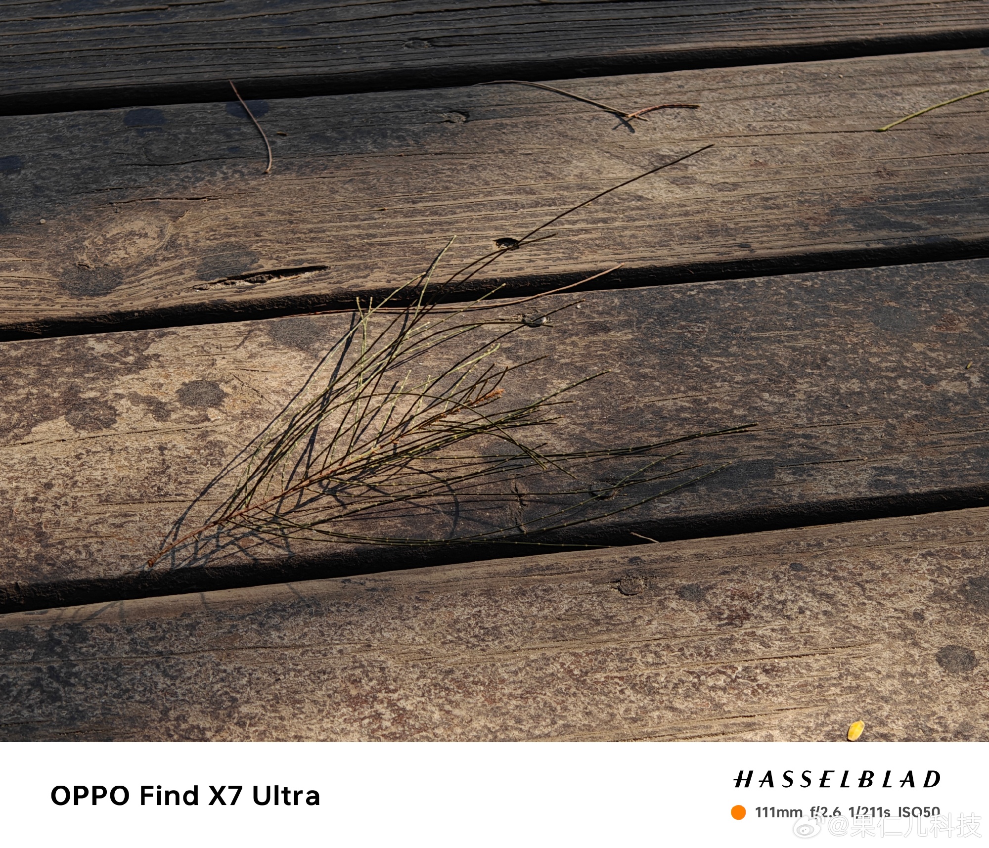 Không phải iPhone 15 Pro Max hay Galaxy S sắp ra mắt, đây mới là smartphone có phần cứng camera xịn nhất - Ảnh 9