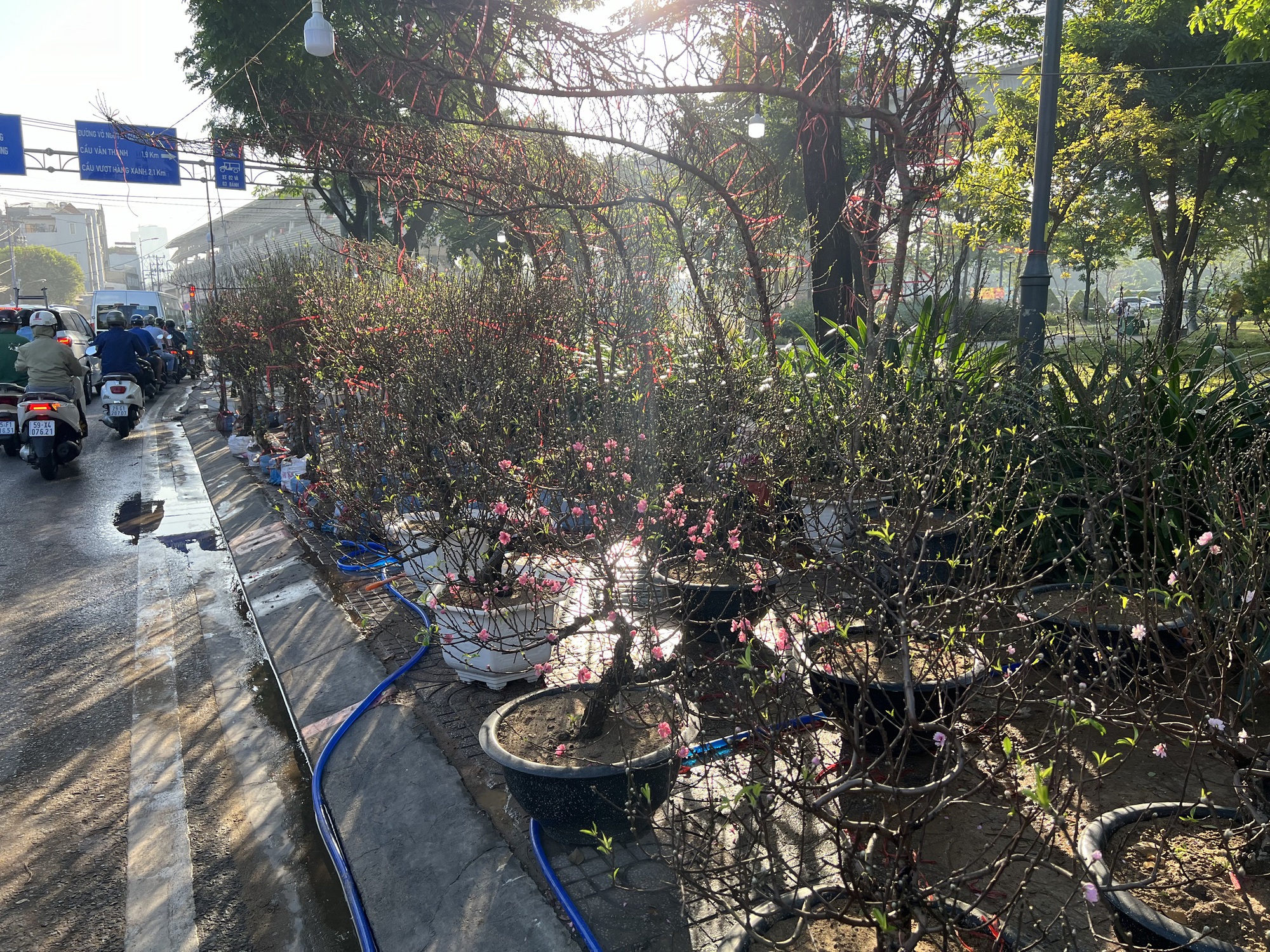 Hoa Tết tràn ra đường, hạ giá sớm - Ảnh 4