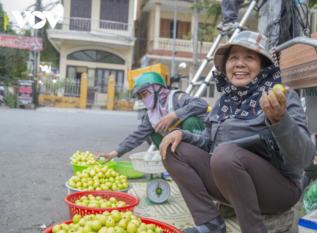 Thăm vườn táo muối đặc sản được "săn lùng" dịp Tết ở Hải Phòng - Ảnh 13