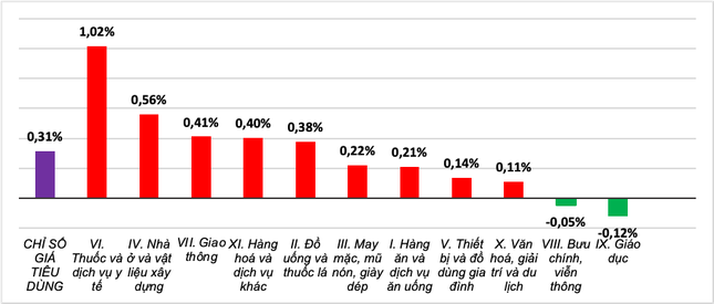 Nhiều loại hàng hoá, dịch vụ tăng giá trước Tết - Ảnh 1