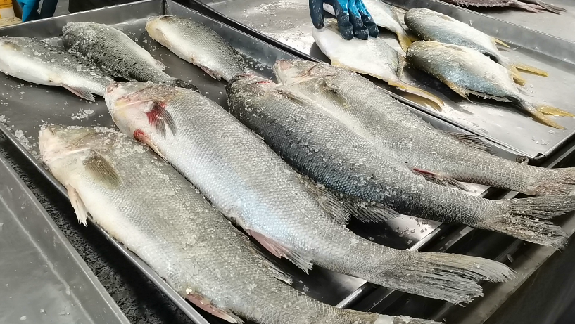 Khi mua cá ăn Tết, người thông minh sẽ chọn 3 loại này, người bán thế nào cũng khen bạn nức nở - Ảnh 1