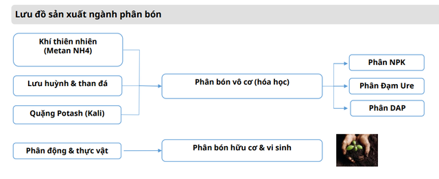 Một mặt hàng quan trọng trên thị trường sẽ tiếp tục tăng giá, Việt Nam có 1.000 doanh nghiệp sản xuất - Ảnh 3