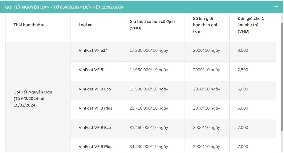 Xanh SM tung dịch vụ cho thuê xe ngày Tết, cao nhất 34,4 triệu đồng cho 10 ngày - Ảnh 5