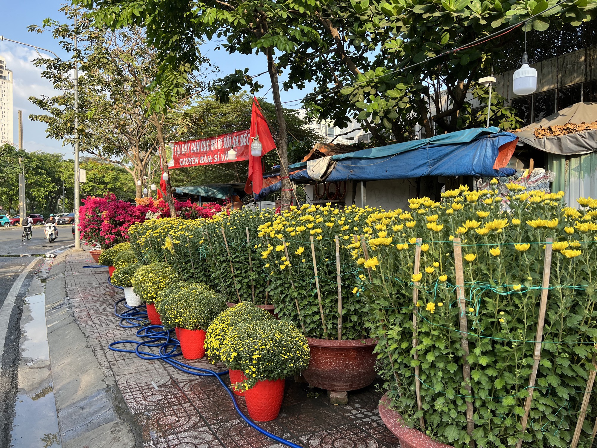 Hoa Tết tràn ra đường, hạ giá sớm - Ảnh 1