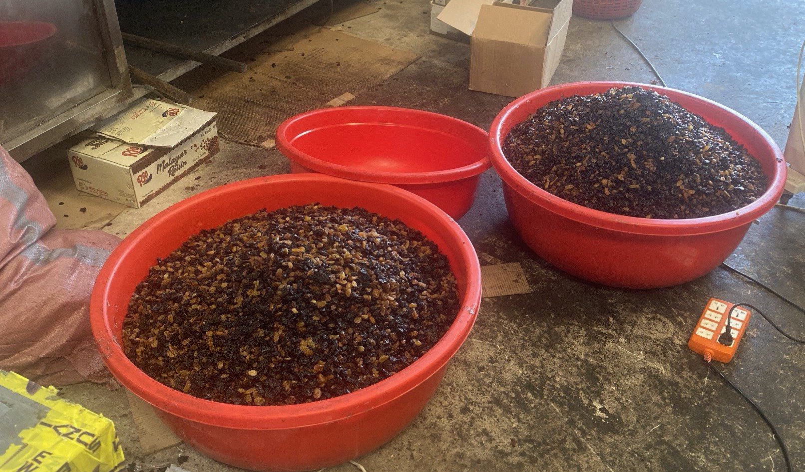 Mua nho khô Ấn Độ về “phù phép” thành nho Mỹ bán dịp Tết - Ảnh 1