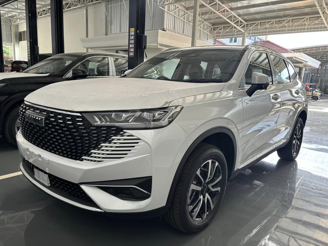 Haval H6 bản giá rẻ về Việt Nam, giá dưới 800 triệu nhưng không bán đại trà - Ảnh 1