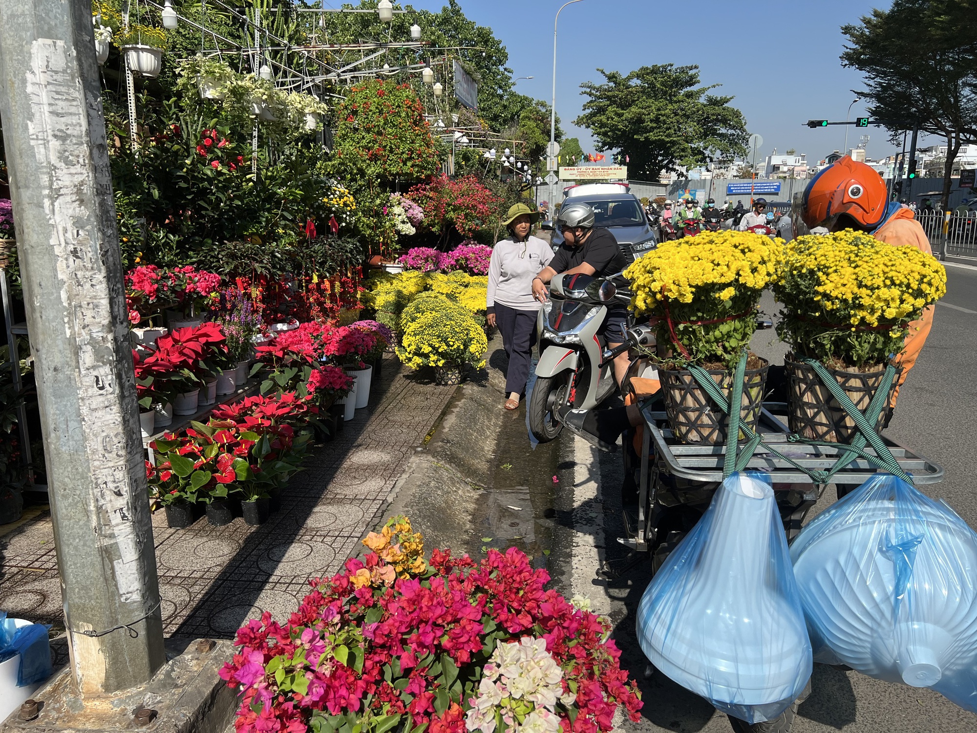 Hoa Tết tràn ra đường, hạ giá sớm - Ảnh 2