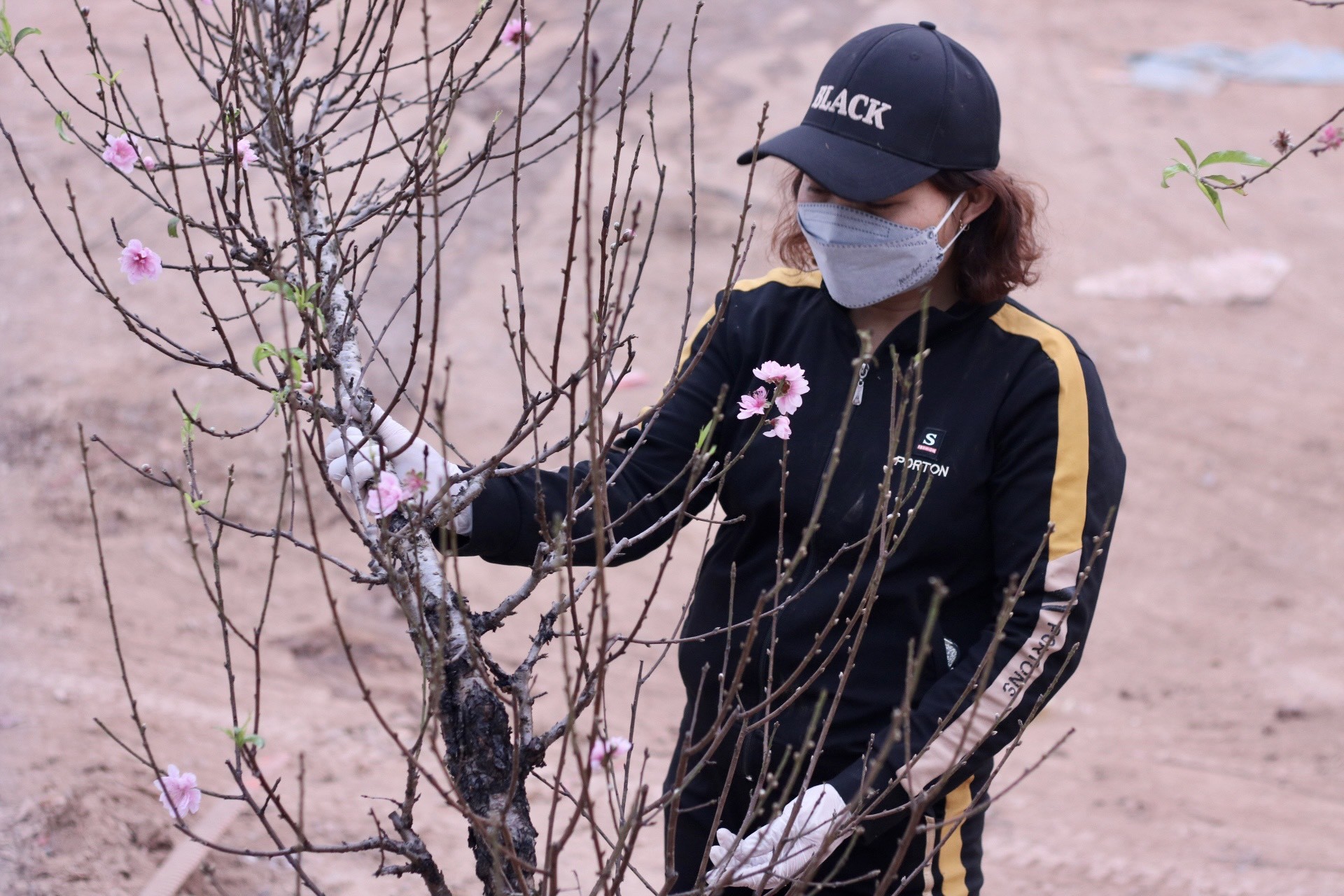 Đào Nhật Tân xuống phố, khoe sắc đón Tết sớm - Ảnh 11