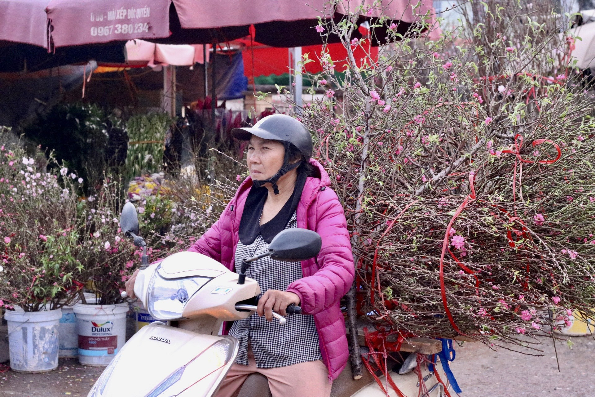 Đào Nhật Tân xuống phố, khoe sắc đón Tết sớm - Ảnh 9