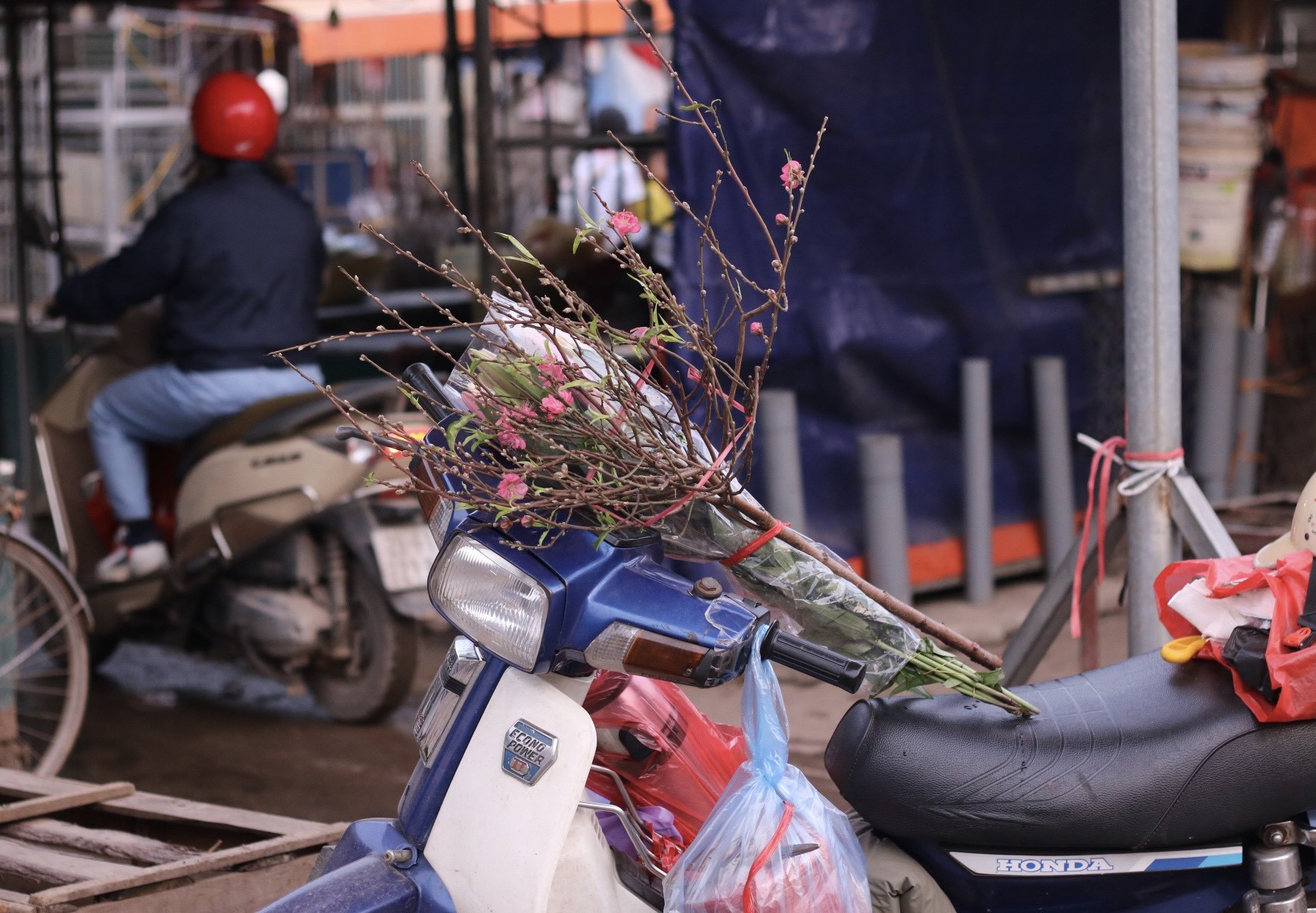 Đào Nhật Tân xuống phố, khoe sắc đón Tết sớm - Ảnh 14