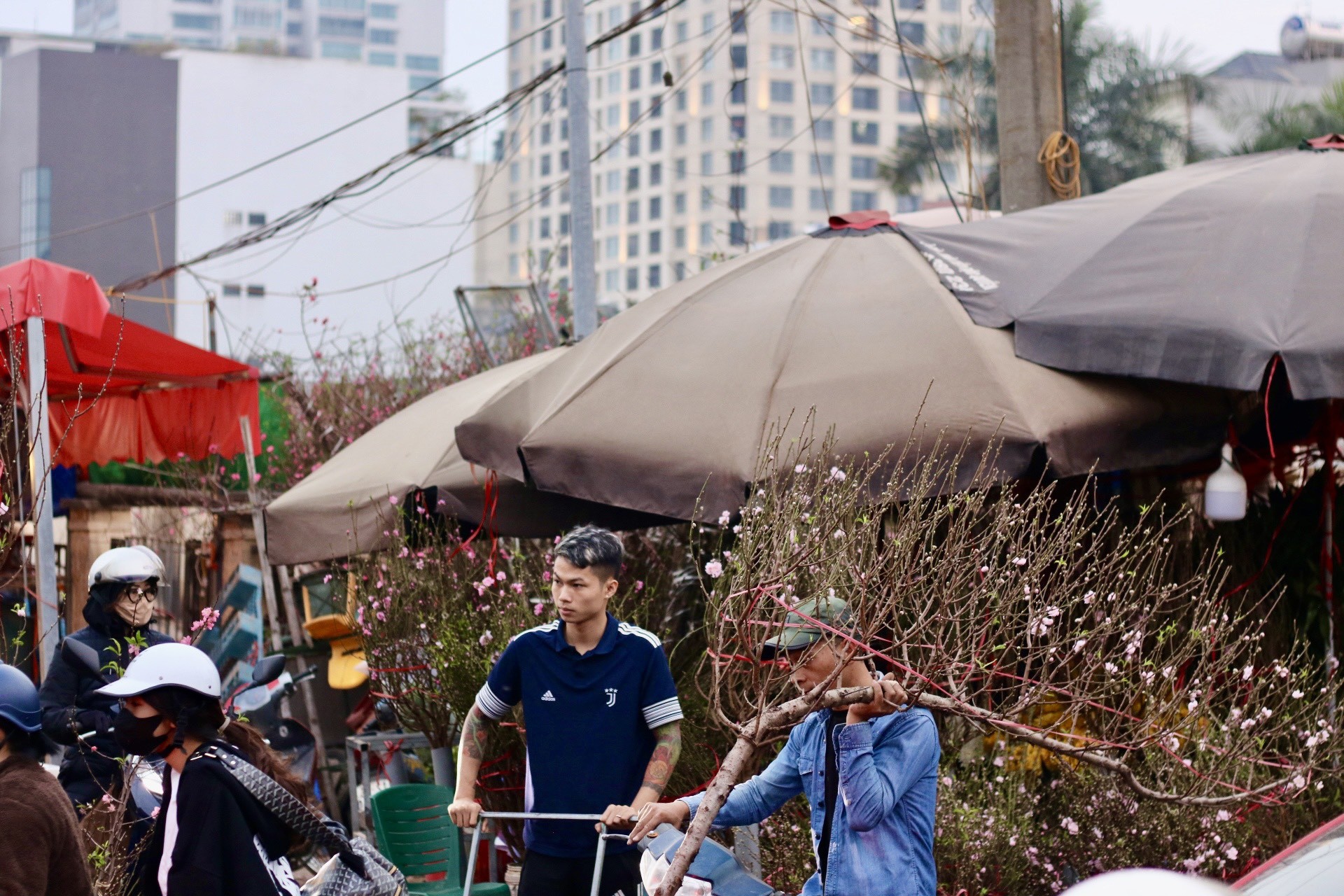 Đào Nhật Tân xuống phố, khoe sắc đón Tết sớm - Ảnh 12