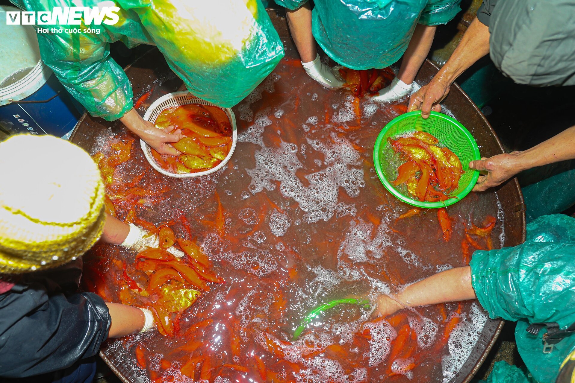 Chợ cá lớn nhất Hà Nội buôn bán xuyên đêm trước ngày ông Công, ông Táo - Ảnh 8