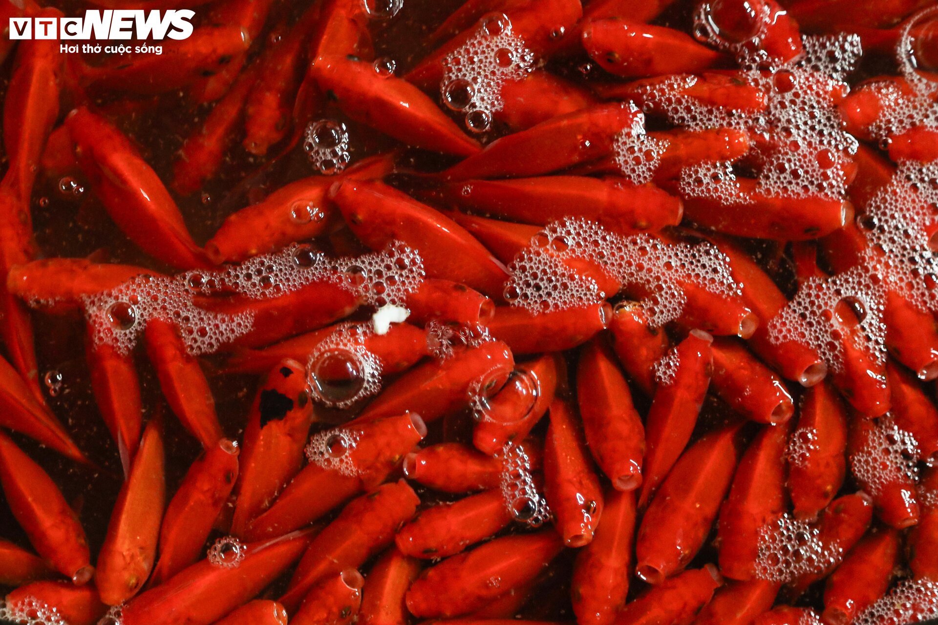 Chợ cá lớn nhất Hà Nội buôn bán xuyên đêm trước ngày ông Công, ông Táo - Ảnh 12