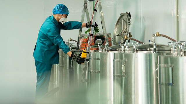 Ứng dụng công nghệ hiện đại, bánh chưng tươi có thể bảo quản tới 6 tháng? - Ảnh 1