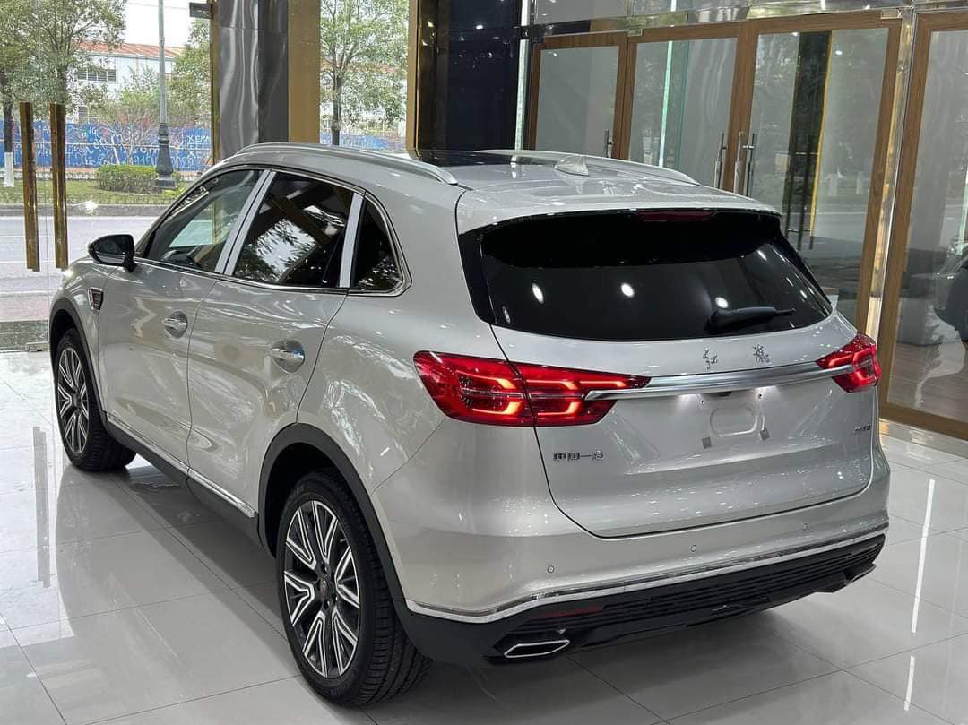 Lô Hongqi HS5 đầu tiên về Việt Nam: Nhiều option cao cấp, chỉ chờ giá cạnh tranh Santa Fe - Ảnh 6