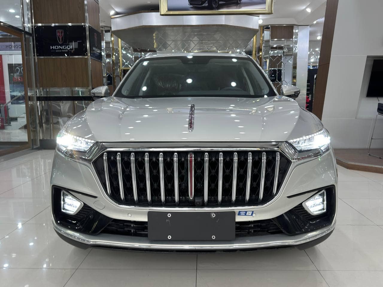 Lô Hongqi HS5 đầu tiên về Việt Nam: Nhiều option cao cấp, chỉ chờ giá cạnh tranh Santa Fe - Ảnh 3