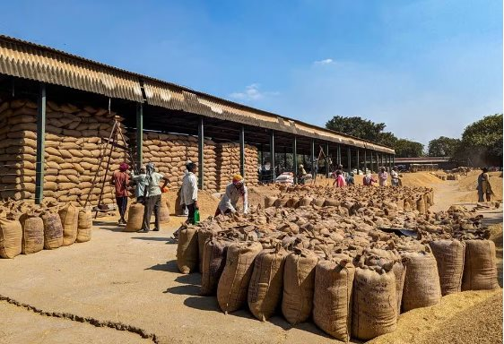 Vượt Trung Quốc, một quốc gia Đông Nam Á trở thành khách hàng lớn thứ 2 của gạo Việt, xuất khẩu tăng đột biến gần 1.000% - Ảnh 1
