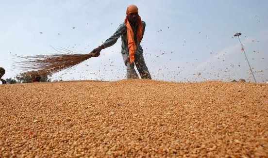 Nga ưu ái xuất sang Việt Nam một mặt hàng cả thế giới đang ‘thèm khát’: Giá rẻ cực hấp dẫn, Trung Quốc cũng phải tìm đến để mua hàng - Ảnh 1