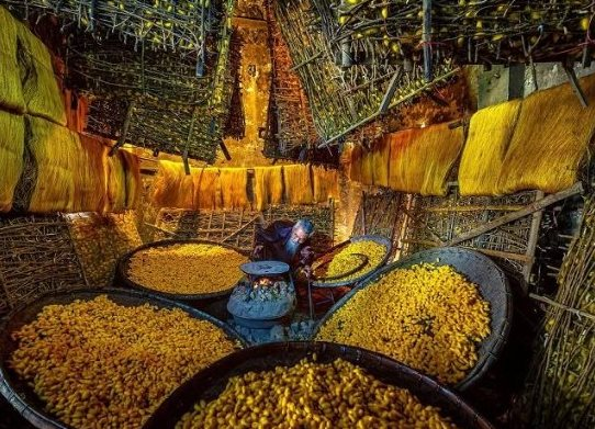 Một mặt hàng tỷ đô của Việt Nam được gần một nửa thế giới săn đón: Thu về hàng tỷ USD mỗi tháng, Nhật Bản, Hàn Quốc cực kỳ ưa chuộng - Ảnh 1