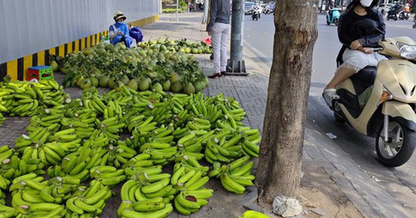 Chuối xuất khẩu lại dội chợ, đổ ra lề đường