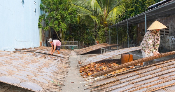 Làng nghề bánh tráng 200 năm ở Cần Thơ tất bật vào vụ Tết