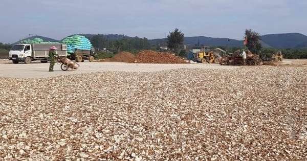 'Vàng trắng' dưới lòng đất của Việt Nam được Trung Quốc săn lùng bất kỳ giá nào: Thu về hơn 1 tỷ USD trong năm 2023, từ gốc đến ngọn đều là ‘sản vật’