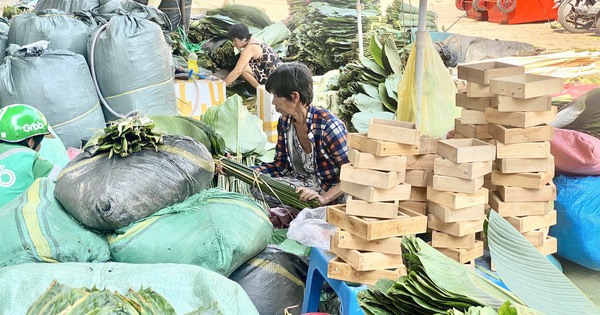 Chợ bán lá dong lớn nhất TP HCM năm nay ra sao?