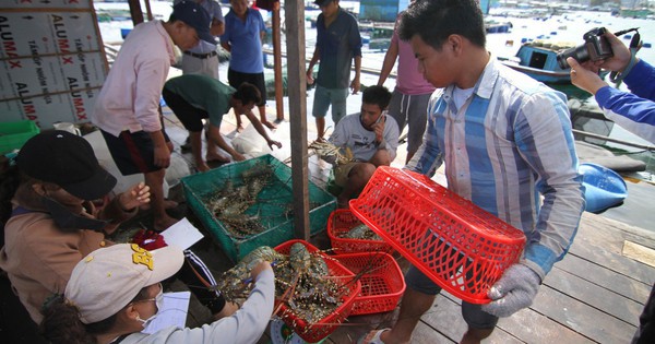 Thêm cơ hội từ thị trường Trung Quốc