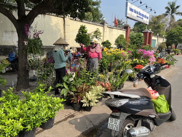 Hoa kiểng Tết tràn ra đường, giá dễ chịu - Ảnh 1