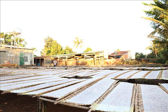 Làng nghề bánh tráng 'chạy' đơn hàng Tết - Ảnh 3