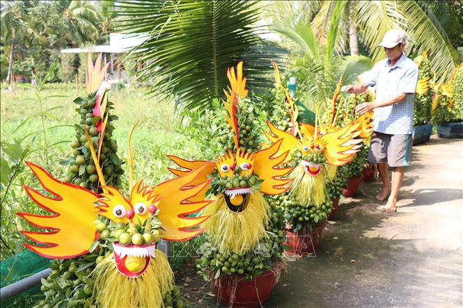 Quất cảnh tạo dáng hình rồng được thị trường săn đón - Ảnh 1