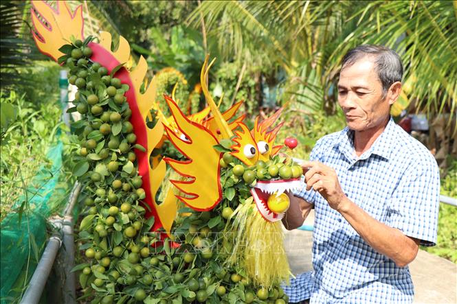 Quất cảnh tạo dáng hình rồng được thị trường săn đón - Ảnh 2