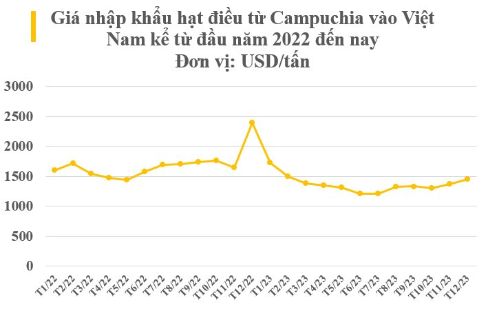 'Cứu tinh' từ Campuchia đổ bộ giúp Việt Nam trở thành vua ngành hàng này: Thu về gần 4 tỷ USD trong năm 2023, sản lượng gấp hơn 3 lần so với Ấn Độ - Ảnh 2