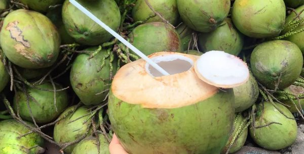 Loại quả được công nhận chất lượng nhất thế giới của Việt Nam thu về gần 1 tỷ USD, Trung Quốc, Mỹ đều ‘đặt gạch’ mua hàng - Ảnh 2