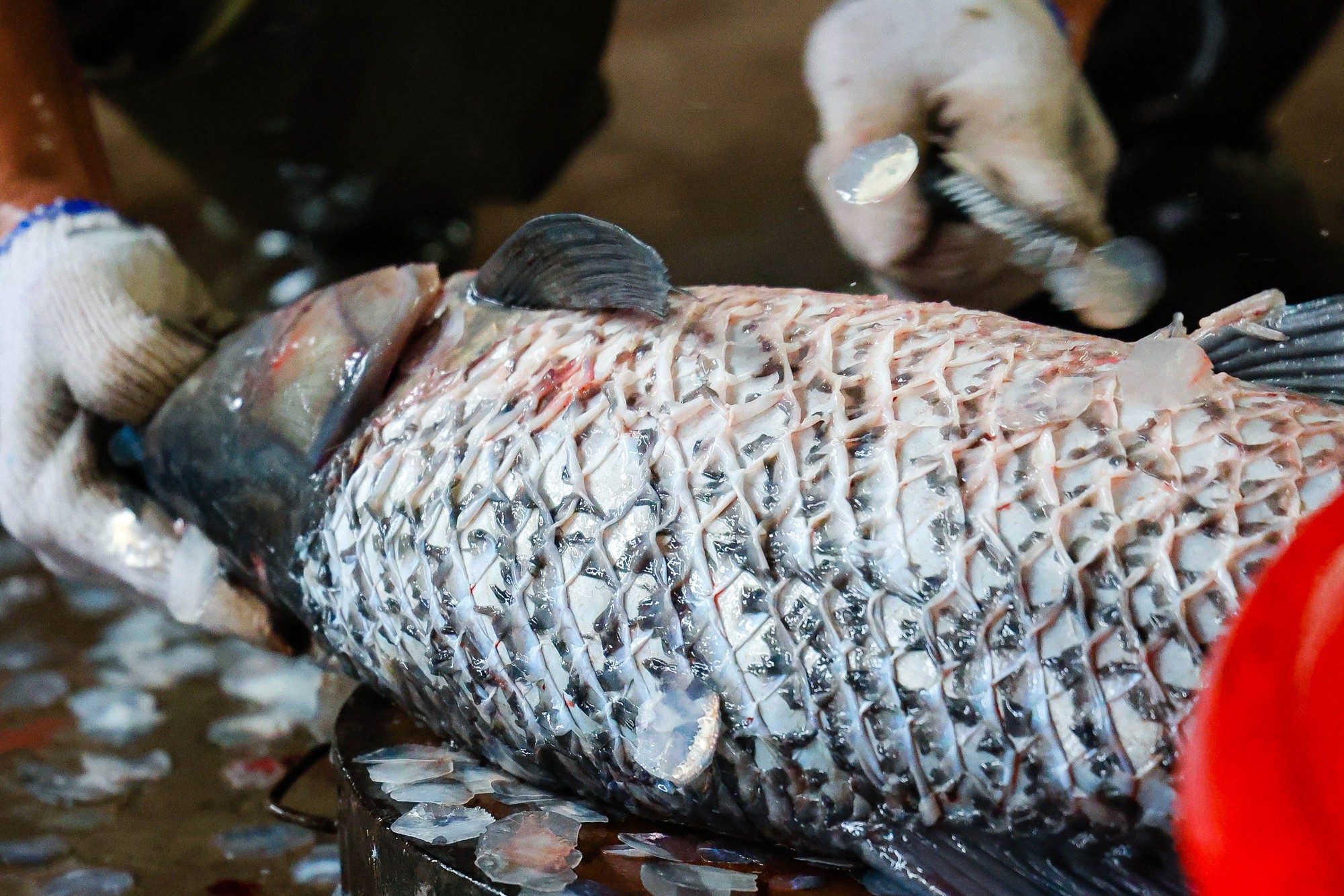 Làng Vũ Đại đỏ lửa xuyên đêm kho cá bạc triệu - Ảnh 6