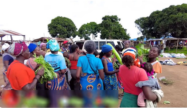 Loại lá ở Việt Nam không ai nhòm ngó, sang châu Phi được thương lái tranh mua như đặc sản - Ảnh 6