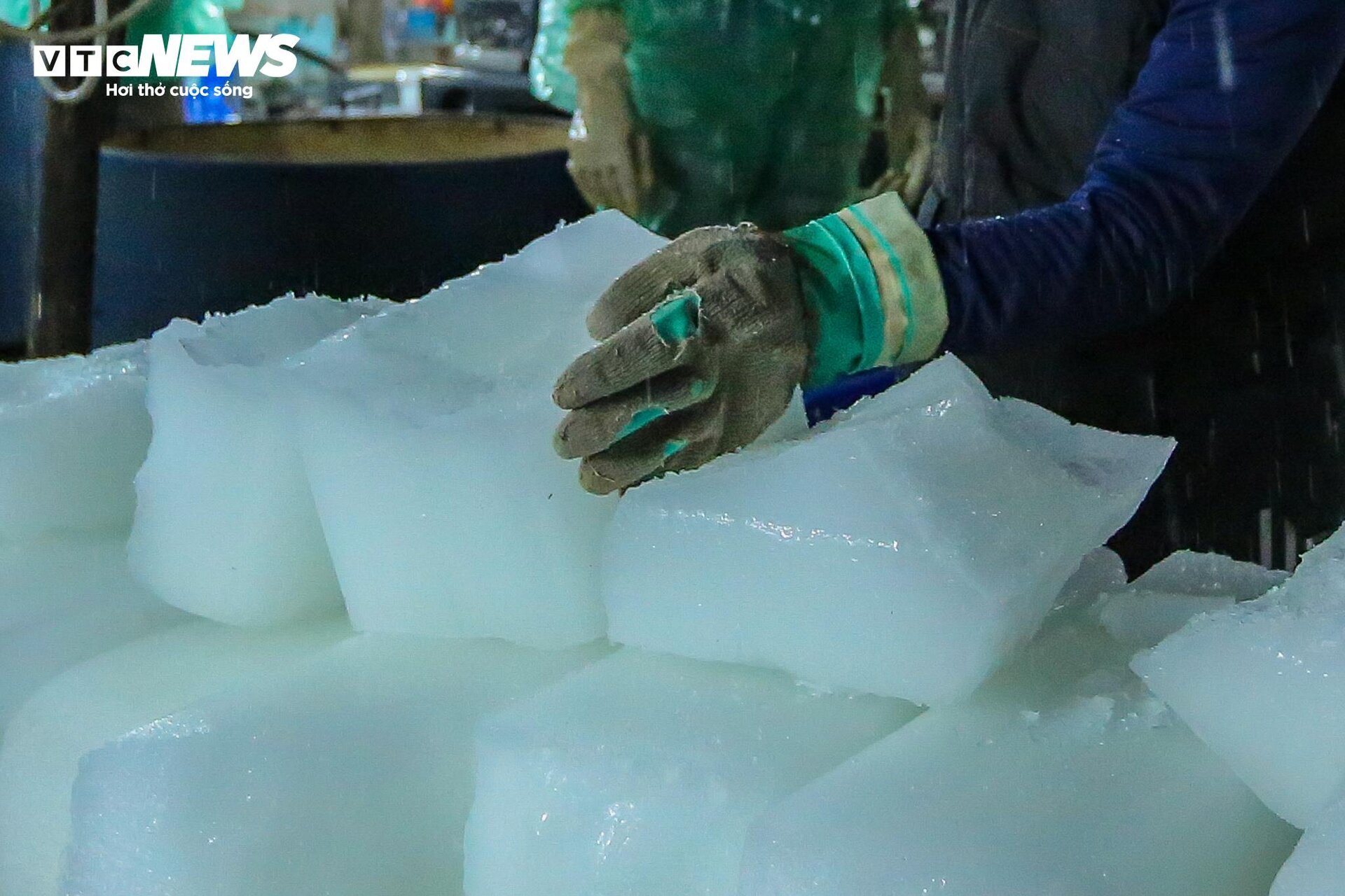 Những bàn tay khiêng đá, bắt cá mưu sinh trong giá rét 9 độ C ở Hà Nội - Ảnh 15