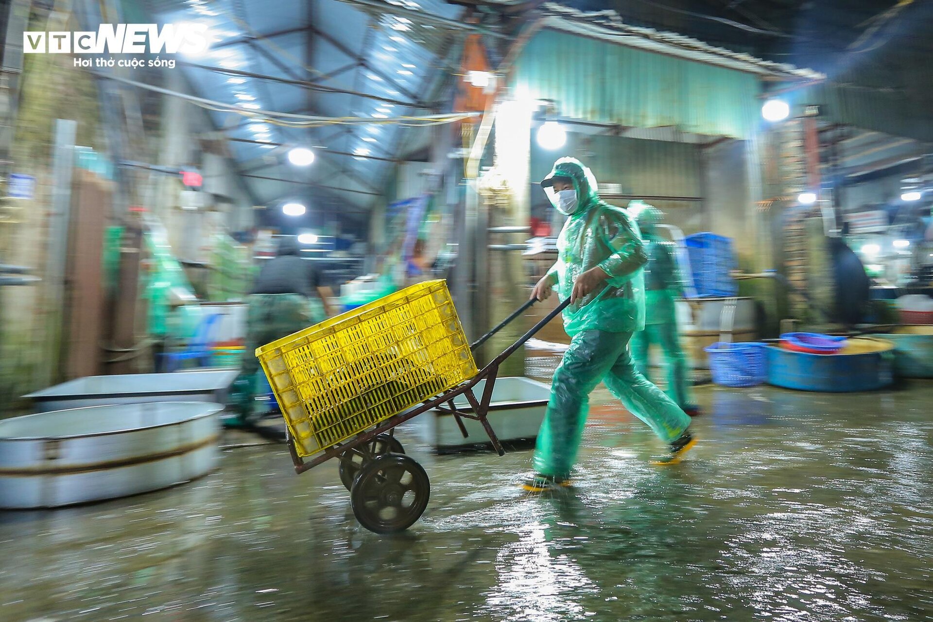 Những bàn tay khiêng đá, bắt cá mưu sinh trong giá rét 9 độ C ở Hà Nội - Ảnh 4