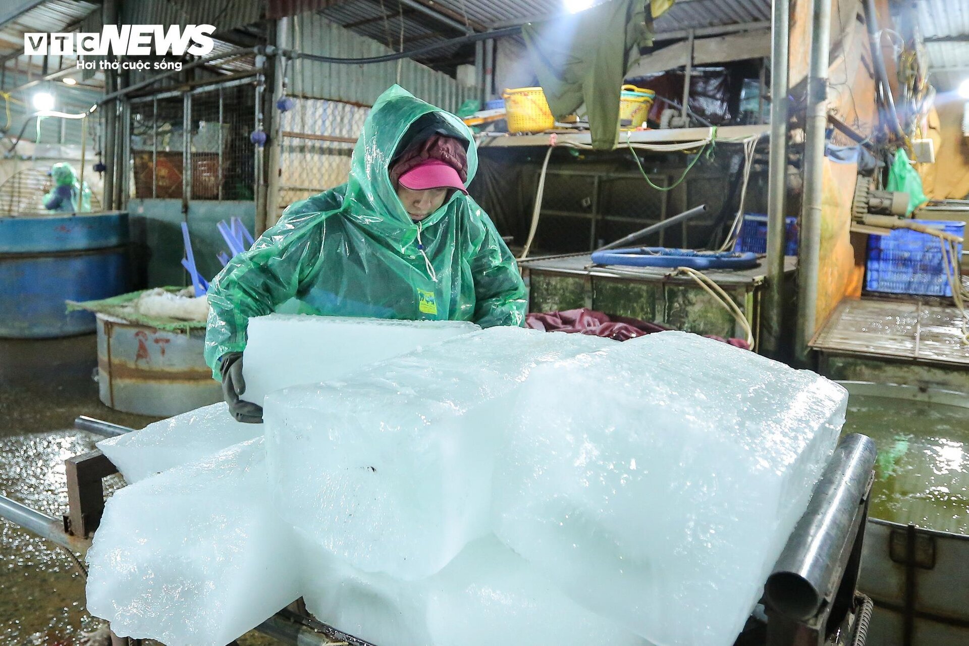 Những bàn tay khiêng đá, bắt cá mưu sinh trong giá rét 9 độ C ở Hà Nội - Ảnh 17